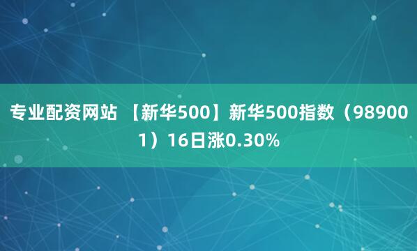 专业配资网站 【新华500】新华500指数（989001）16日涨0.30%