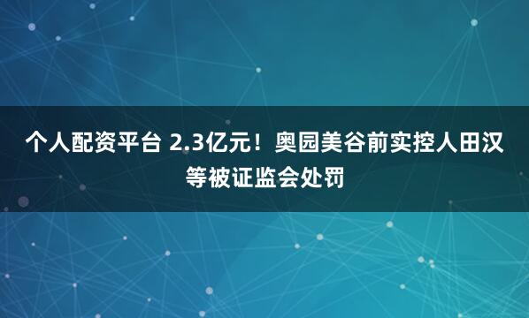 个人配资平台 2.3亿元！奥园美谷前实控人田汉等被证监会处罚