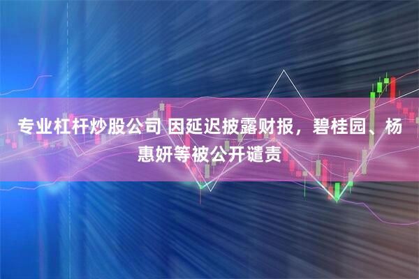 专业杠杆炒股公司 因延迟披露财报，碧桂园、杨惠妍等被公开谴责